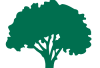 Saroyan-Hardwoods-Tree-Icon